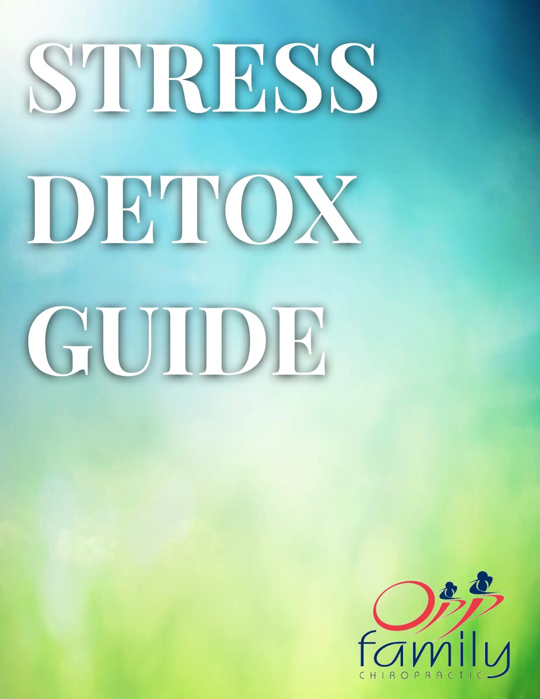 STRESS DETOX GUIDE