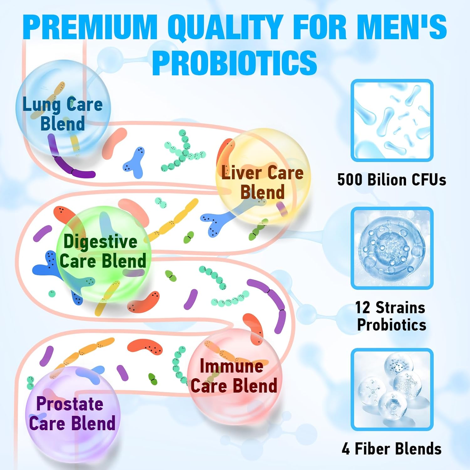 Men’s Probiotic 500B – 12 Strains + Combination of Organic Fiber Ingredients. - Image 4